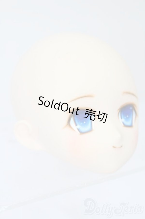 画像3: PARABOX/PB-6006Bヘッドのみ S-25-11-30-445-TO-ZS (3)