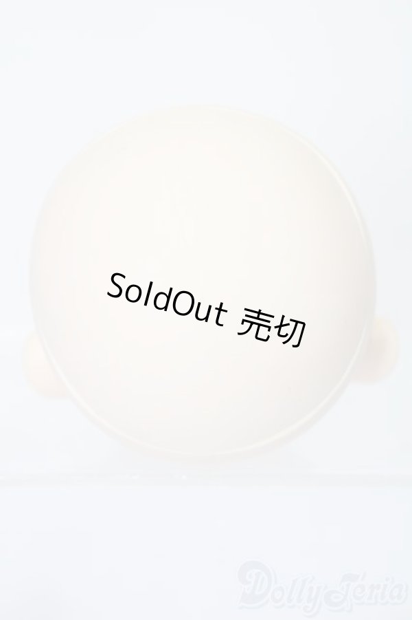 画像4: PARABOX/PB-6006Bヘッドのみ S-25-11-30-445-TO-ZS (4)