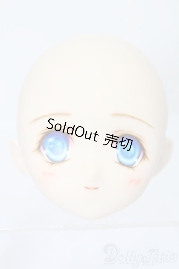 画像1: PARABOX/PB-6006Bヘッドのみ S-25-11-30-435-TO-ZS (1)