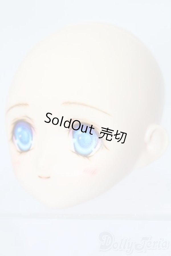 画像2: PARABOX/PB-6006Bヘッドのみ S-25-11-30-435-TO-ZS (2)