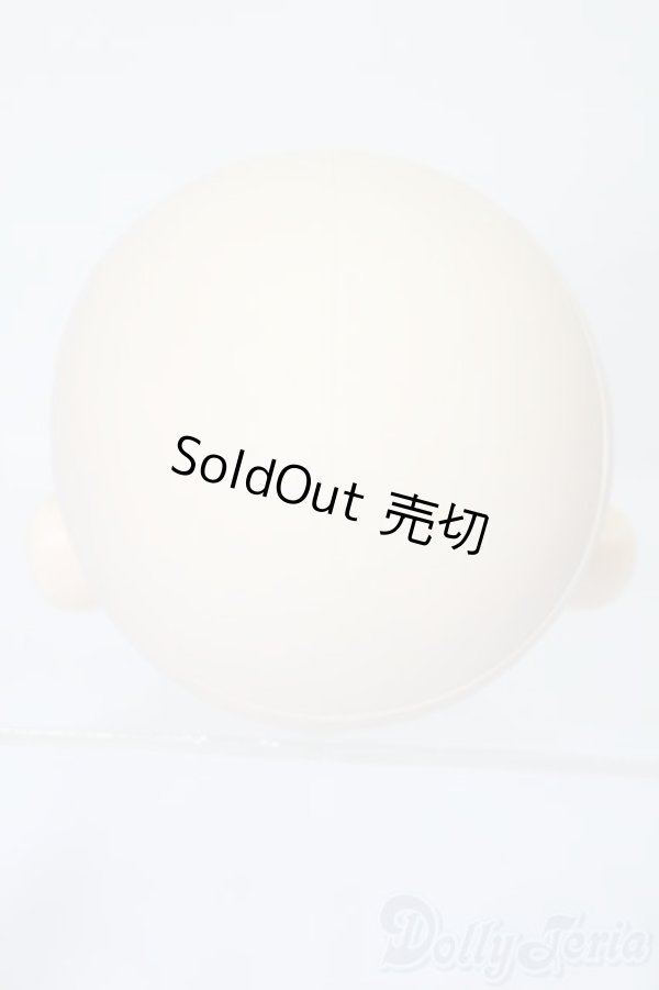 画像4: PARABOX/PB-6006Bヘッドのみ S-25-11-30-435-TO-ZS (4)