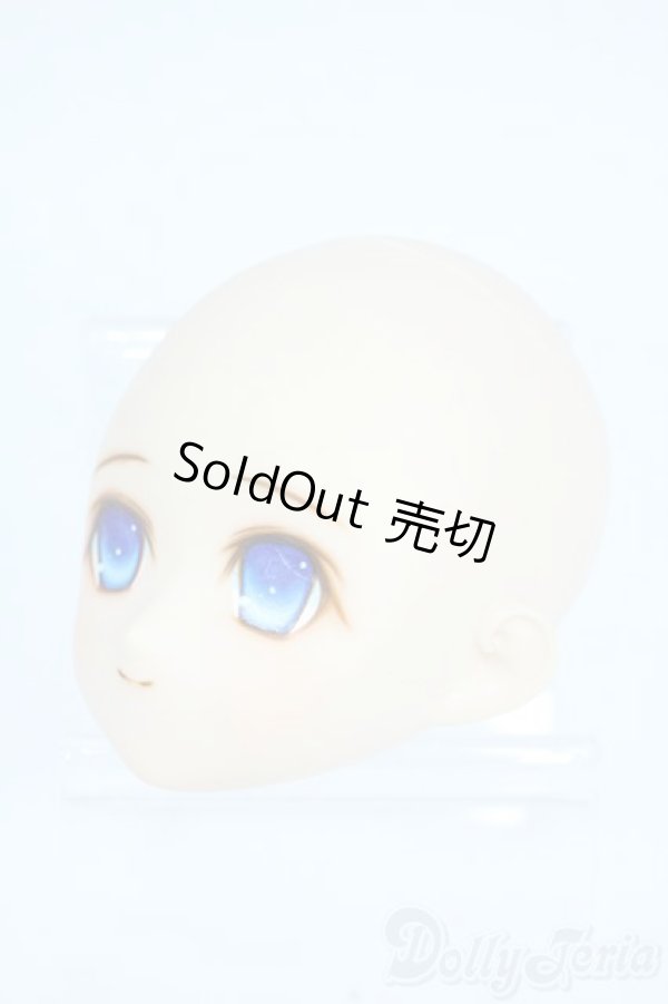 画像3: PARABOX/PB-6006Bヘッドのみ Y-25-10-29-129-TO-ZY (3)