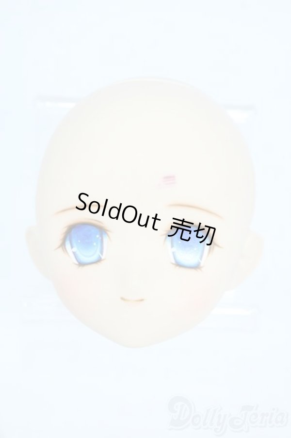 画像1: PARABOX/PB-6006Bヘッドのみ Y-25-10-29-126-TO-ZY (1)