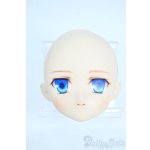 画像: PARABOX/PB-6006Bヘッドのみ Y-25-10-29-128-TO-ZY