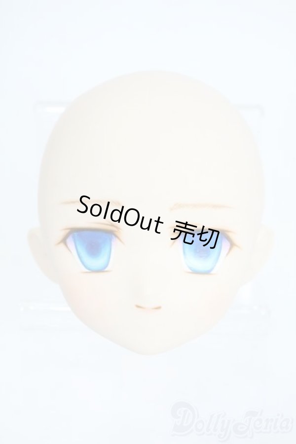 画像1: PARABOX/PB-6006Bヘッドのみ Y-25-11-26-012-TO-ZY (1)