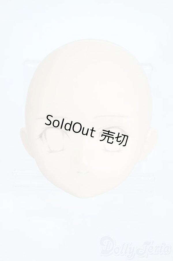 画像1: PARABOX/PB-6006Bヘッドのみ Y-25-11-26-010-TO-ZY (1)