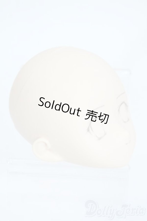 画像2: PARABOX/PB-6006Bヘッドのみ Y-25-11-26-010-TO-ZY (2)