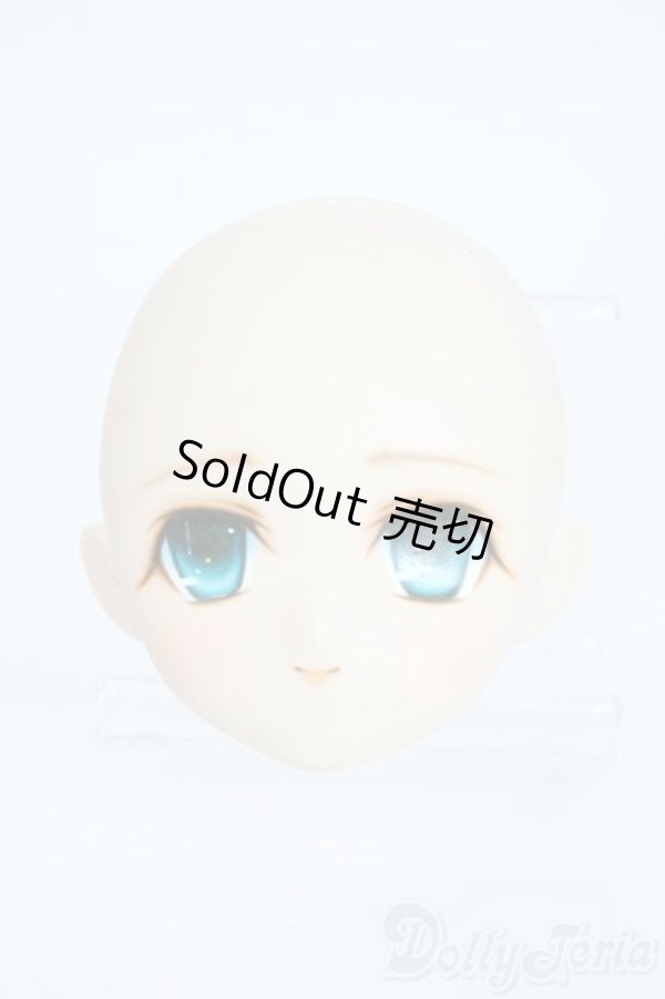 画像1: PARABOX/PB-6006Bヘッドのみ Y-25-11-26-011-TO-ZY (1)