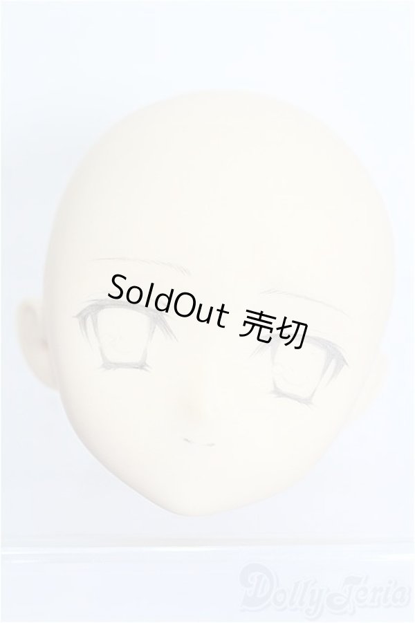 画像1: PARABOX/PB-6006Bヘッドのみ S-25-12-28-212-TO-ZS (1)