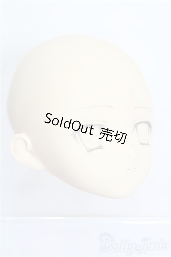 画像2: PARABOX/PB-6006Bヘッドのみ S-25-12-28-212-TO-ZS (2)