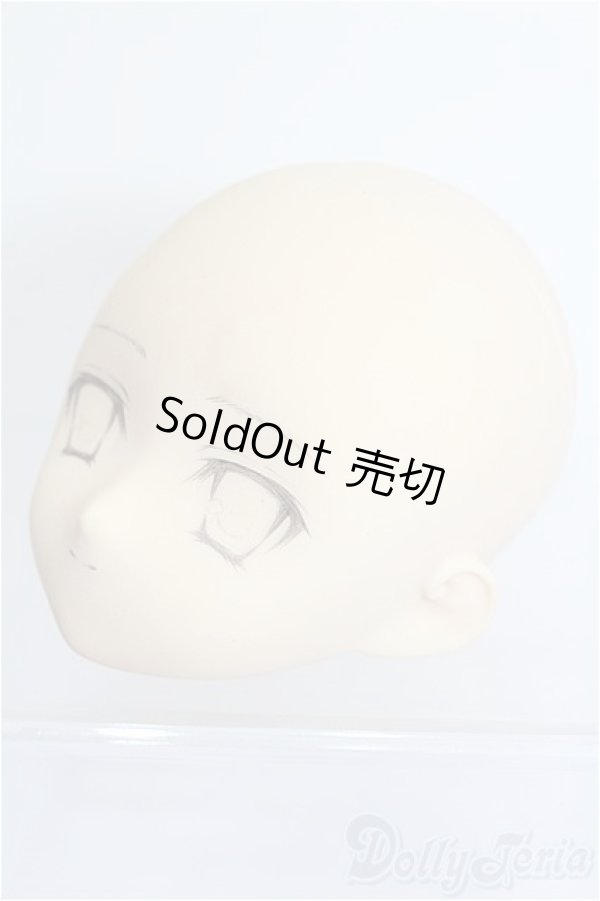 画像3: PARABOX/PB-6006Bヘッドのみ S-25-12-28-212-TO-ZS (3)