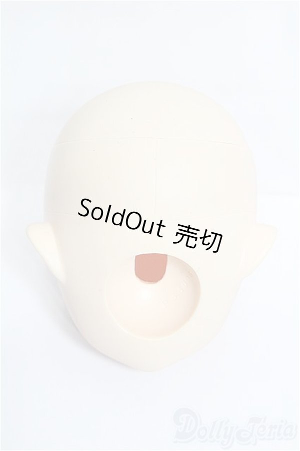 画像4: PARABOX/PB-6006Bヘッドのみ S-25-12-28-213-TO-ZS (4)