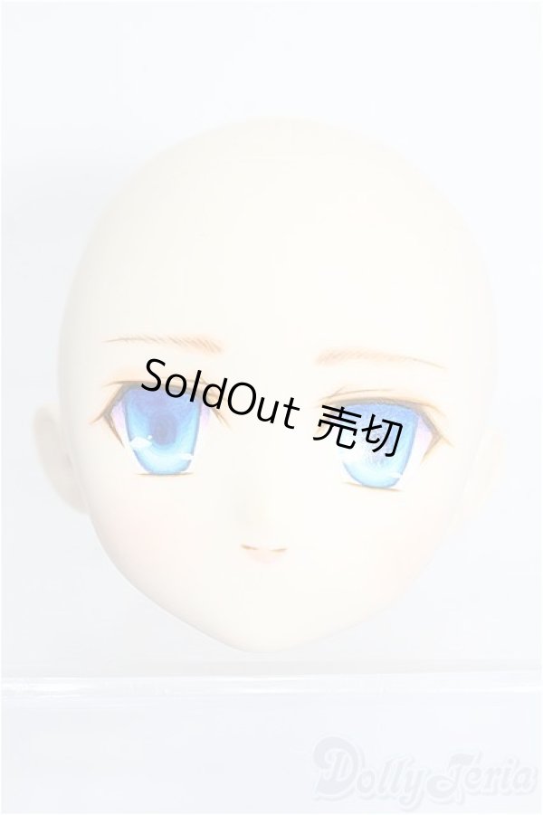 画像1: PARABOX/PB-6006Bヘッドのみ S-25-12-28-209-TO-ZS (1)