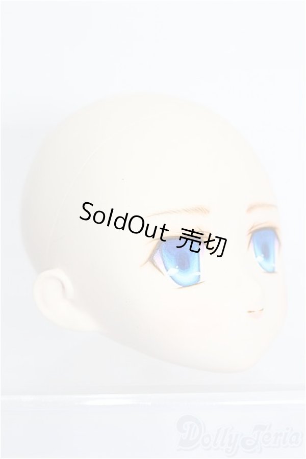 画像2: PARABOX/PB-6006Bヘッドのみ S-25-12-28-209-TO-ZS (2)