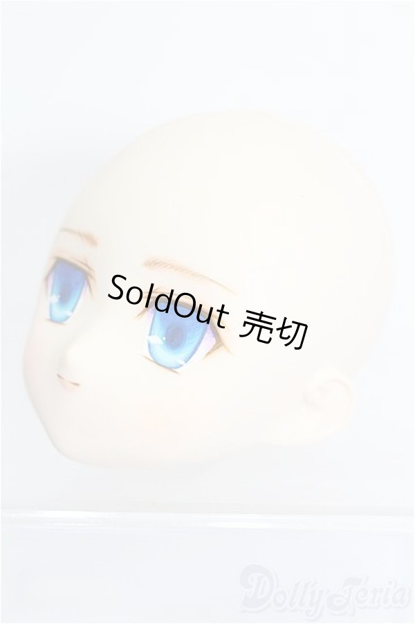 画像3: PARABOX/PB-6006Bヘッドのみ S-25-12-28-209-TO-ZS (3)