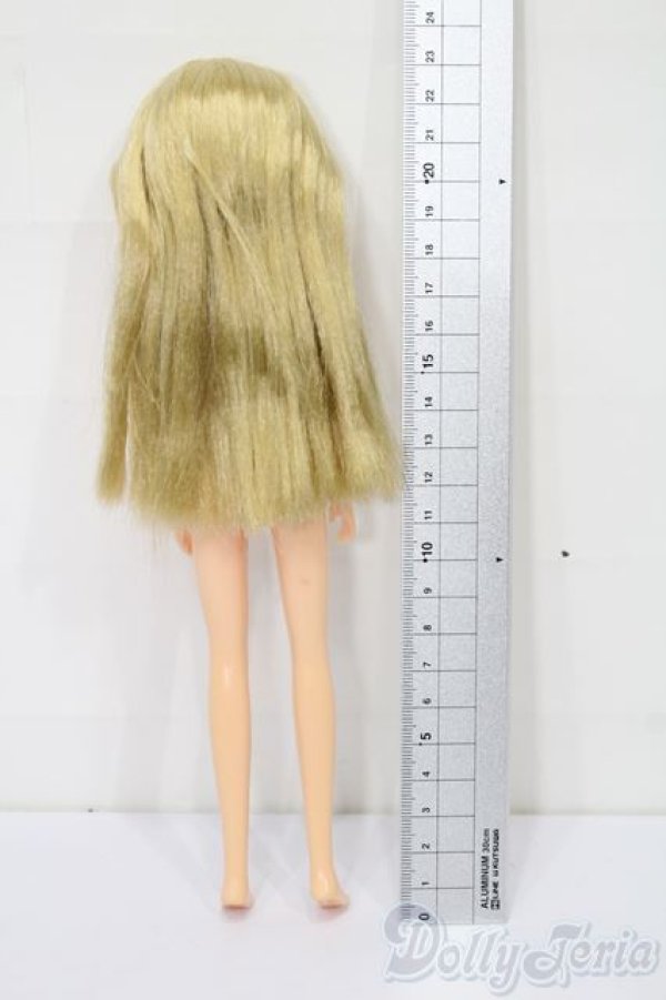 画像3: リカちゃん/キャッスルリカちゃん S-25-12-14-504-TO-ZS (3)