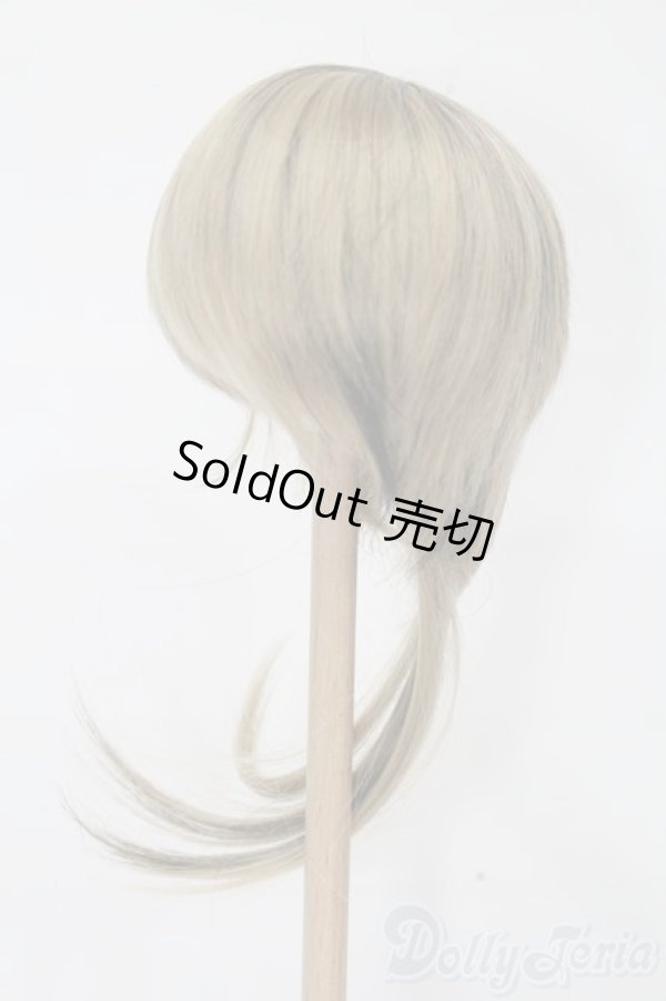 画像2: 9-10inch/ウィッグ S-25-09-21-198-TO-ZS (2)