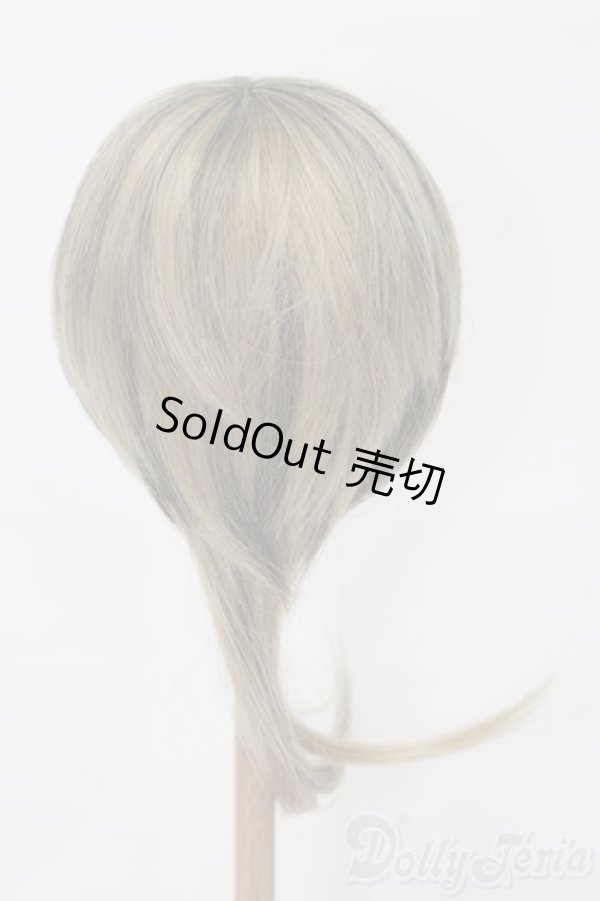 画像3: 9-10inch/ウィッグ S-25-09-21-198-TO-ZS (3)