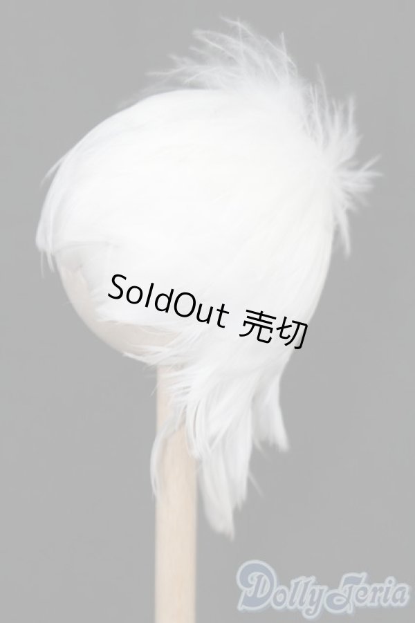 画像2: 7-8inch/ウィッグ S-25-09-21-150-TO-ZS (2)