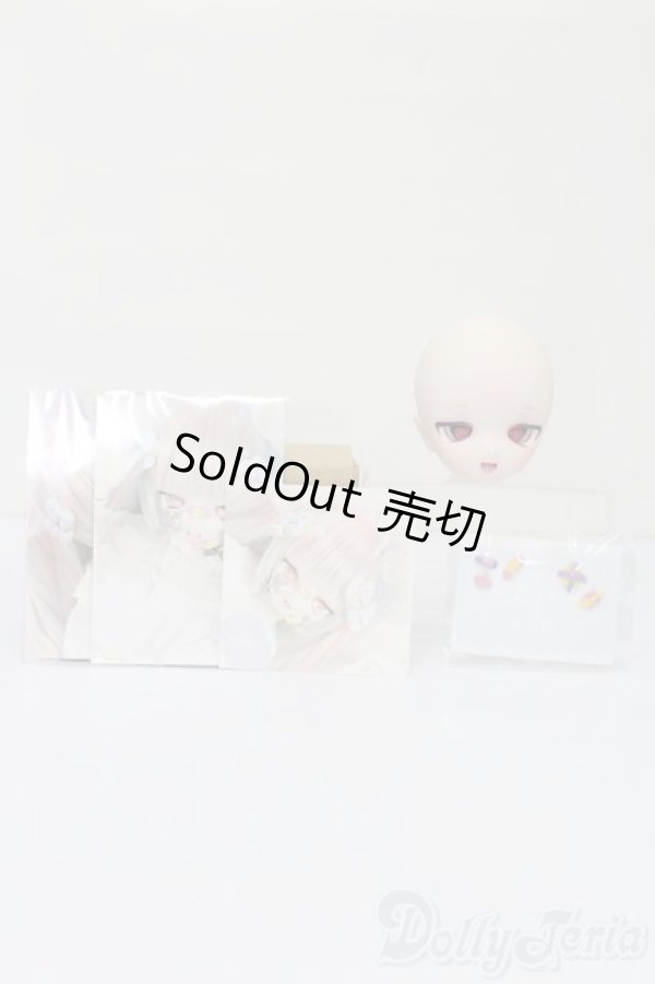 画像6: DD/DDH-01 しらゆきどーる孤児院様製カスタム S-25-09-21-067-TO-ZS (6)