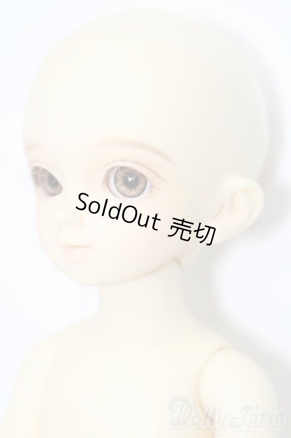 画像4: 幼SD/千夏 S-25-11-16-470-TO-ZS (4)