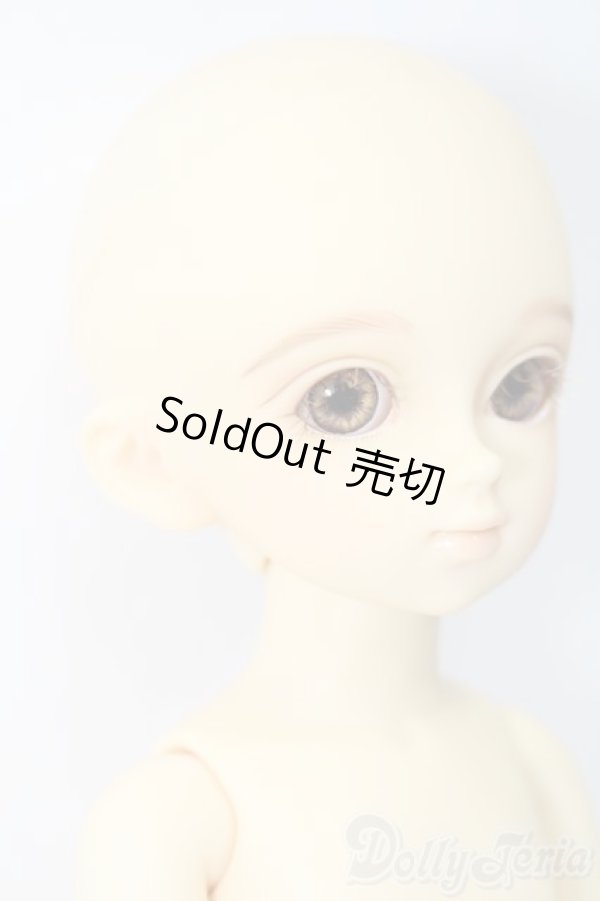 画像5: 幼SD/千夏 S-25-11-16-470-TO-ZS (5)