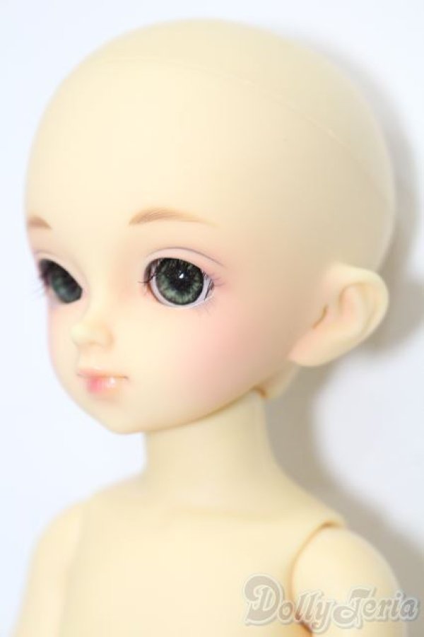 画像4: 幼SD/空太 S-25-11-16-462-TO-ZS (4)