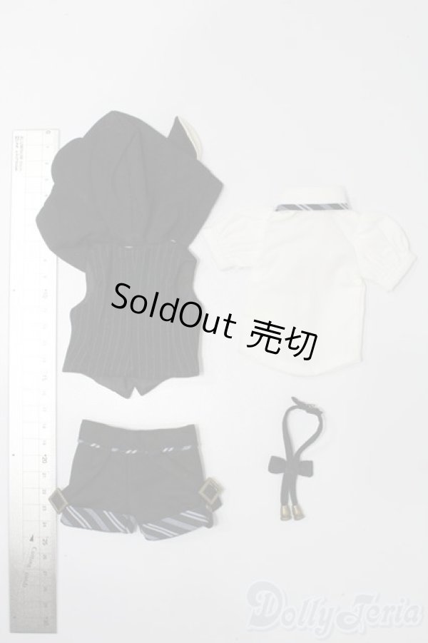 画像3: 幼SD/OF ねずみみフードベストセット：ボークス製 S-25-11-30-351-TO-ZS (3)