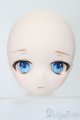 画像: DD/DDH-01カスタムヘッド S-25-09-21-282-TO-ZS