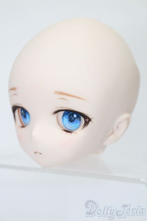 画像2: DD/DDH-01カスタムヘッド S-25-11-02-542-TO-ZS (2)