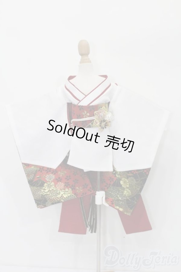 画像1: SDM＆MSD/OF:衣装セット S-25-09-21-240-TO-ZS (1)