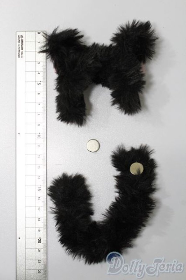 画像2: SDM＆MSD/OF:小物 S-25-09-28-102-TO-ZS (2)