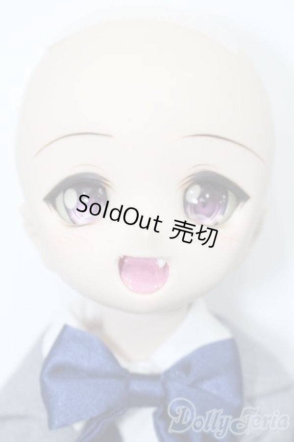 画像2: DD/DDH-01ヘッド+MDDボディ S-25-09-21-204-TO-ZS (2)