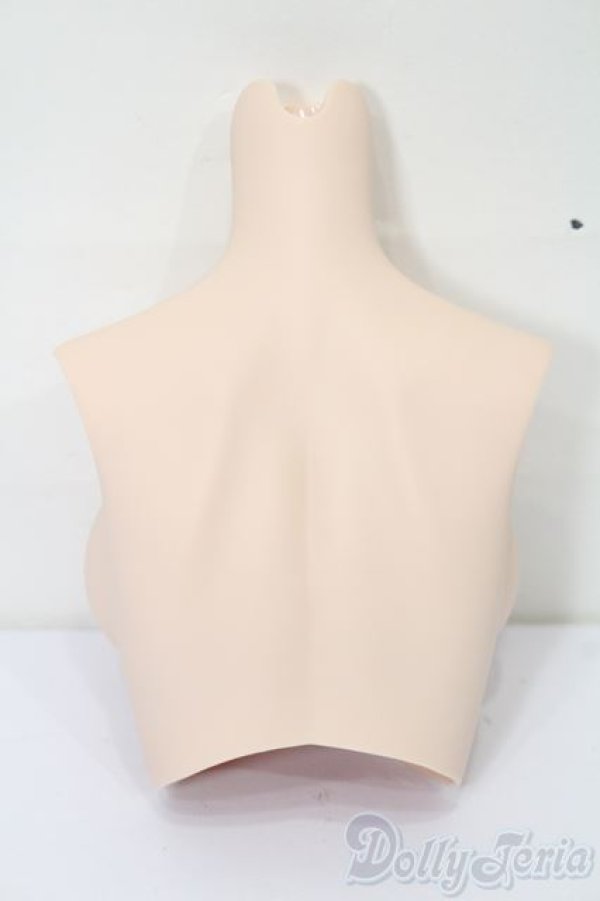 画像2: DD/DD2.0(DD-f3)-B-L-Fl 上半身パーツ S-25-12-21-403-TO-ZS (2)