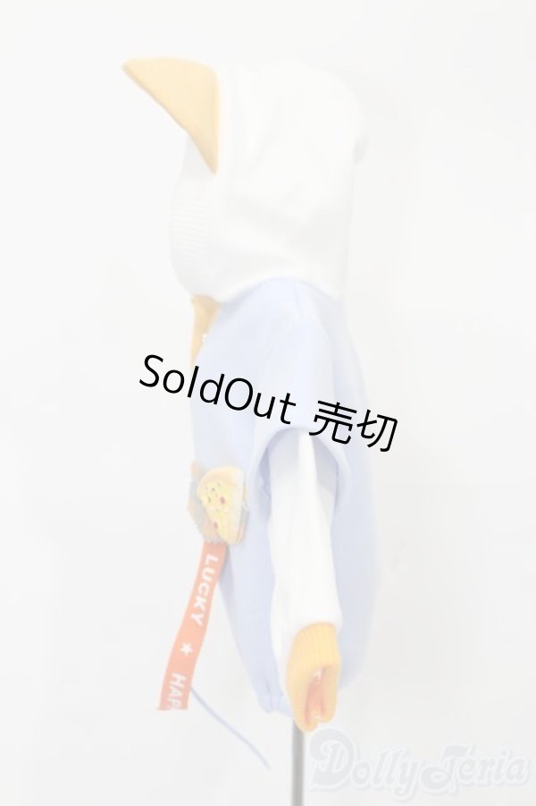 画像2: MDD/OF:衣装セット S-25-11-09-559-TO-ZS (2)