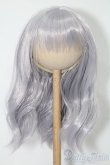 画像1: 8-9inch/ウィッグ S-25-10-05-123-TO-ZS (1)