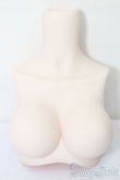 画像1: MDD/MDD2.0-B-L-SW:上半身パーツ L胸 S-25-09-28-212-YB-ZS (1)