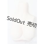 画像: MDD/MDD2.0-B-L-SW:上半身パーツ L胸 S-25-09-28-212-YB-ZS