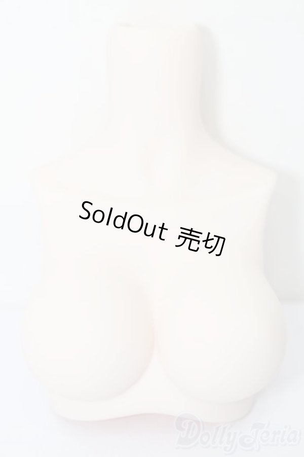 画像1: MDD/MDD2.0-B-L-SW:上半身パーツ L胸 S-25-09-28-212-YB-ZS (1)