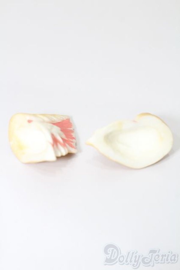 画像3: MDD/耳パーツ S-25-10-19-109-YB-ZS (3)