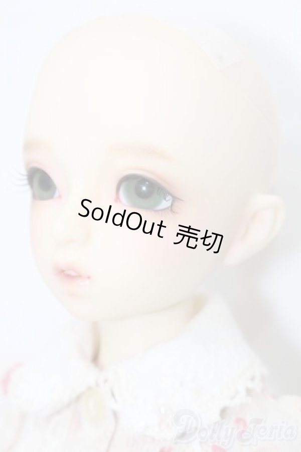 画像4: SDM女の子/まこ　スタンダードモデル S-25-09-28-205-TO-ZS (4)