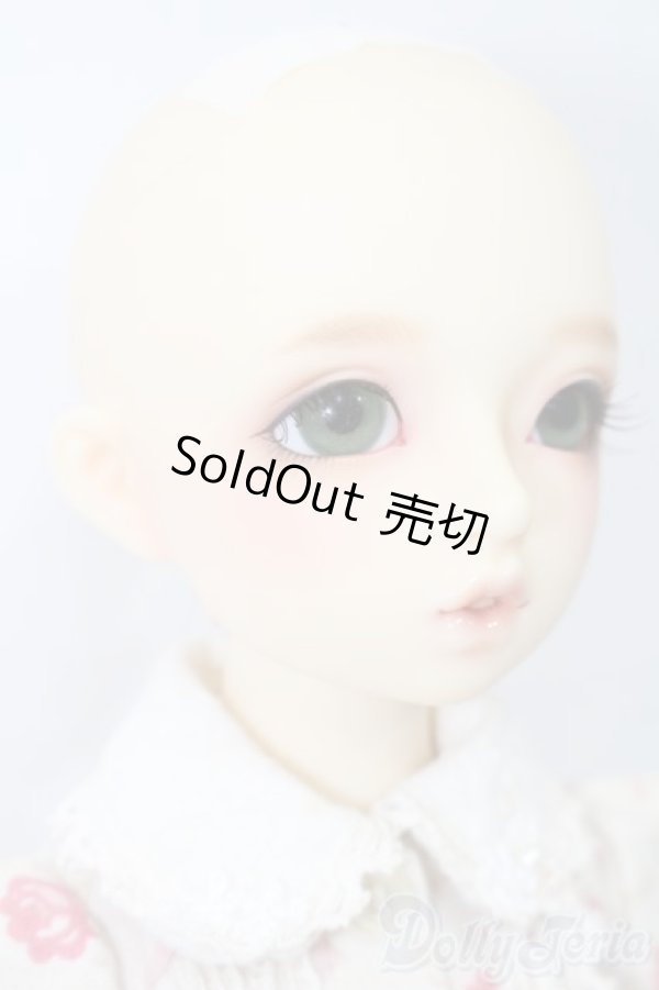 画像5: SDM女の子/まこ　スタンダードモデル S-25-09-28-205-TO-ZS (5)