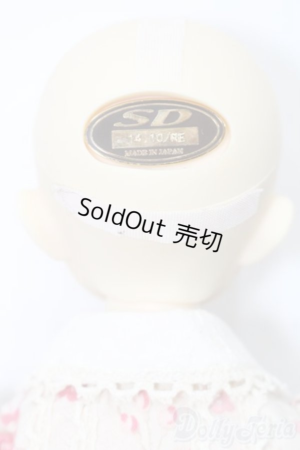 画像6: SDM女の子/まこ　スタンダードモデル S-25-09-28-205-TO-ZS (6)