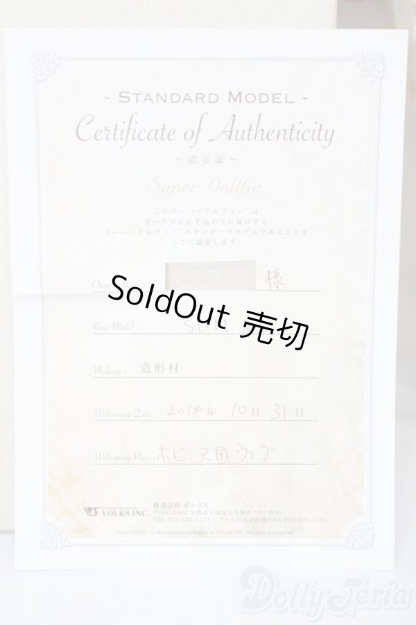 画像10: SDM女の子/まこ　スタンダードモデル S-25-09-28-205-TO-ZS (10)