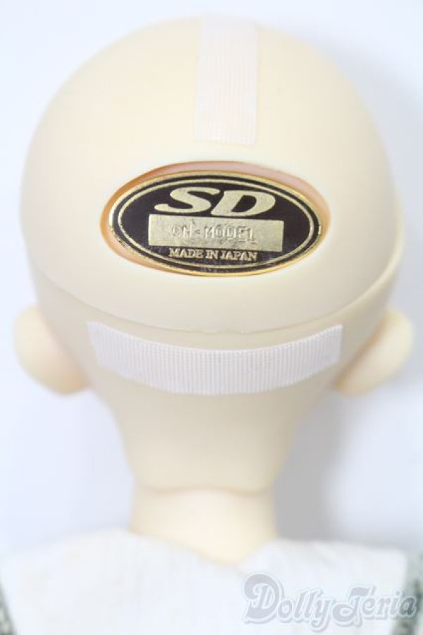 画像5: SDM/コーディネートモデル：F-33女の子 S-25-10-05-052-TO-ZS (5)