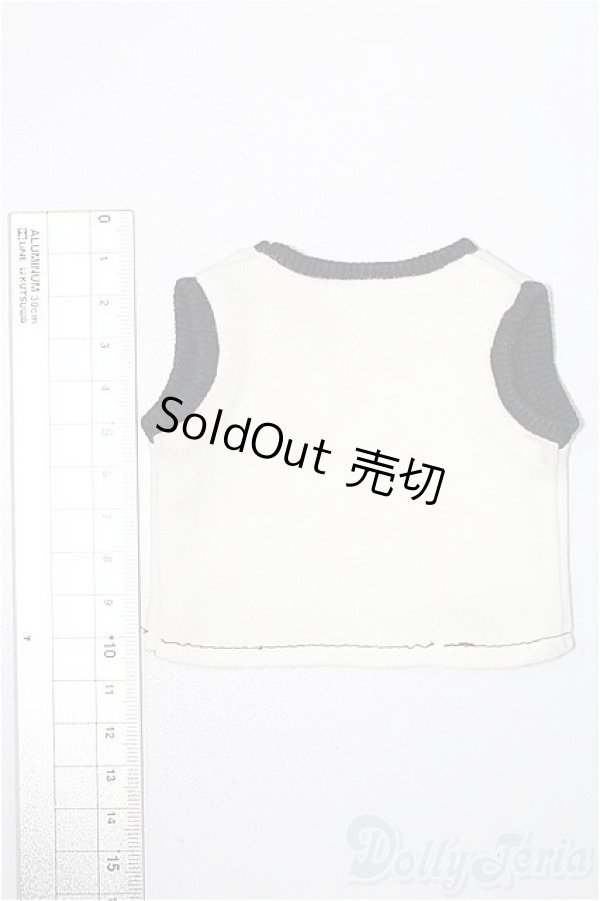 画像2: SDM＆MSD/OF:トップス S-25-11-23-189-SK-ZS (2)