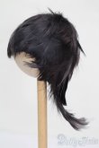画像2: 7-8inch/ウィッグ S-25-10-05-199-TO-ZS (2)