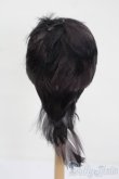 画像3: 7-8inch/ウィッグ S-25-10-05-199-TO-ZS (3)