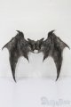 画像: Fairy Land/FeePle65 Demon Wings(Clear Smoke) S-25-10-05-055-TO-ZS