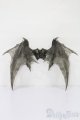 画像: Fairy Land/FeePle65 Demon Wings(Clear Smoke) S-25-10-05-054-TO-ZS